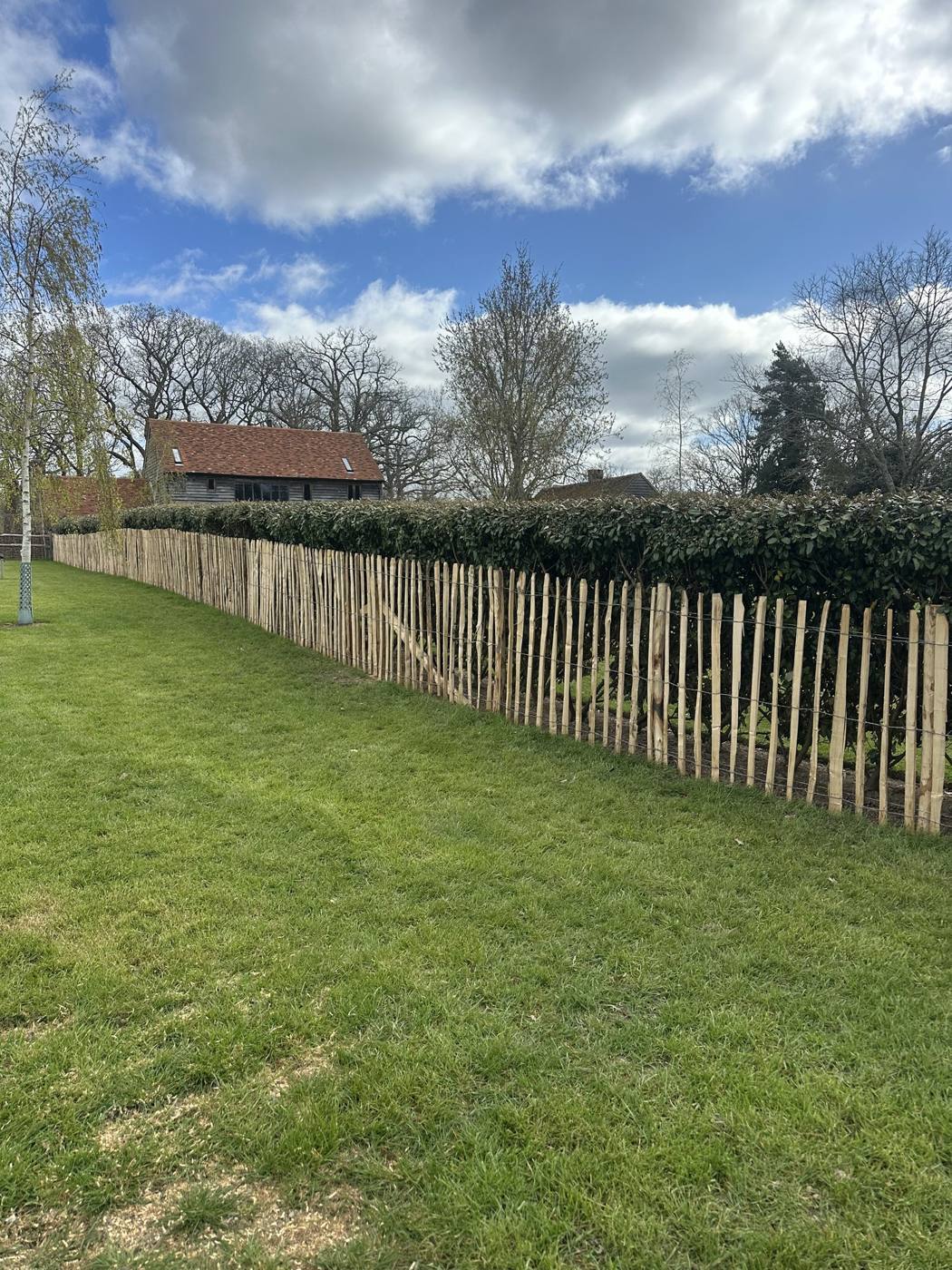 Chestnut paling fence